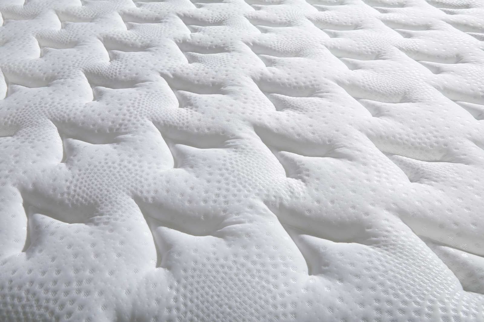 Hotel Plush — view 8